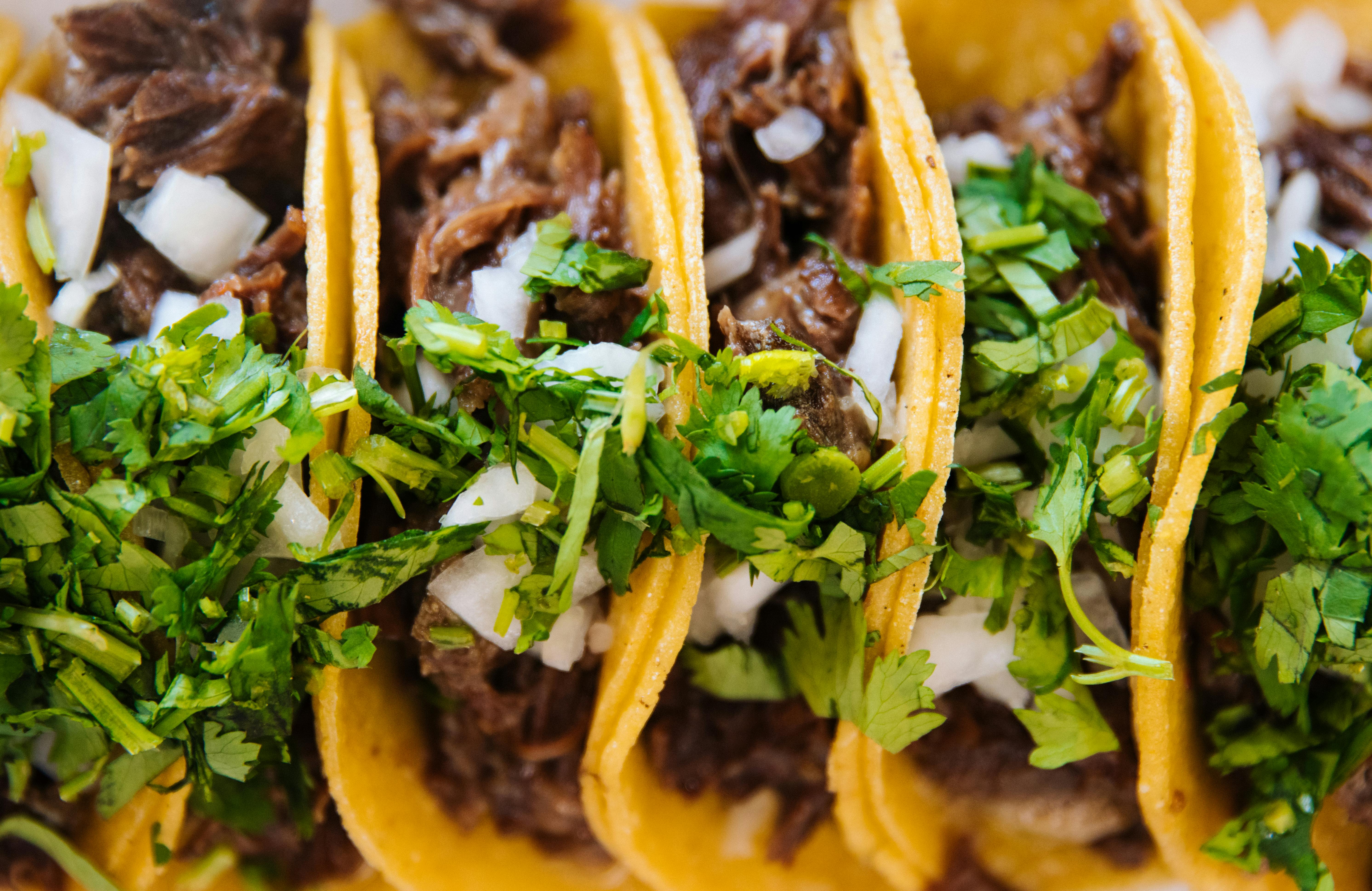 Best 10 Ways to Enjoy Hummus for Your Keto Diet in 2025