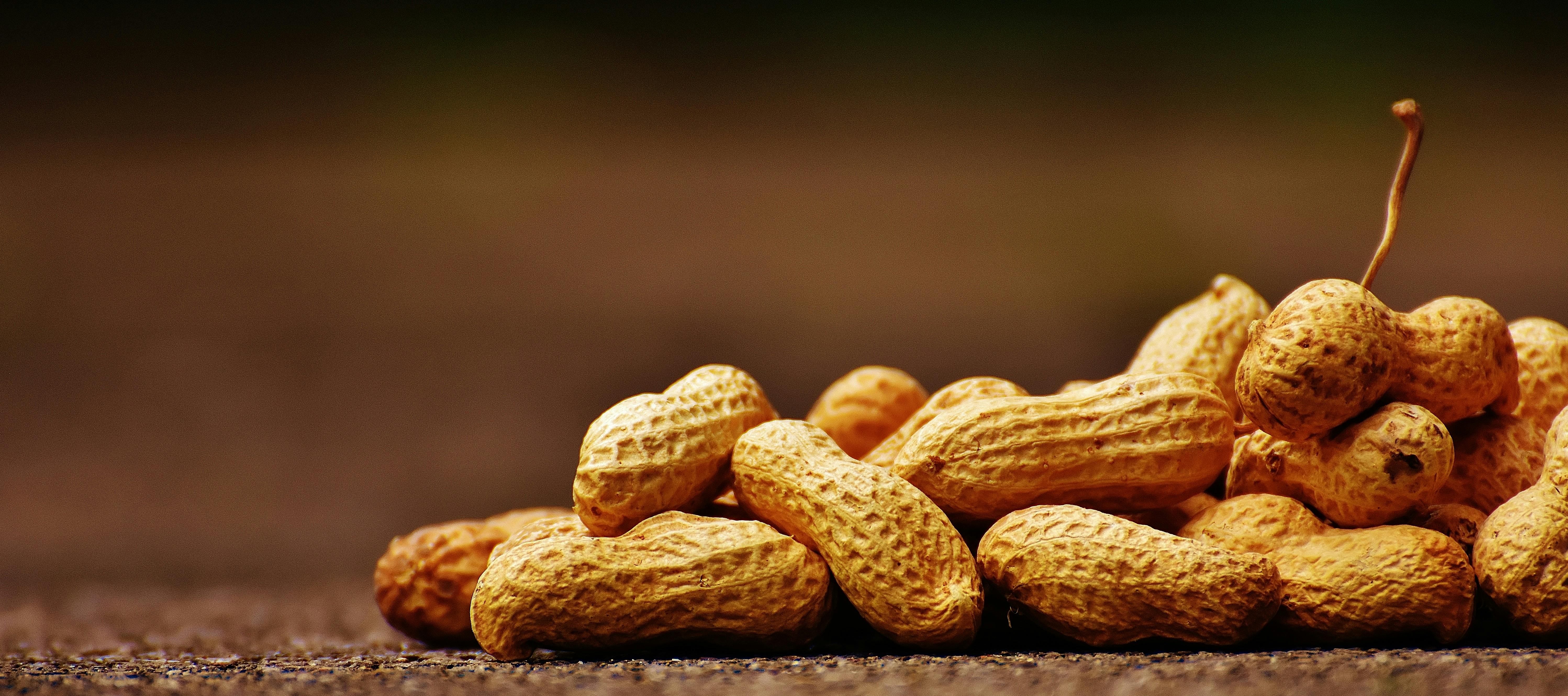 Peanuts for Keto Diet